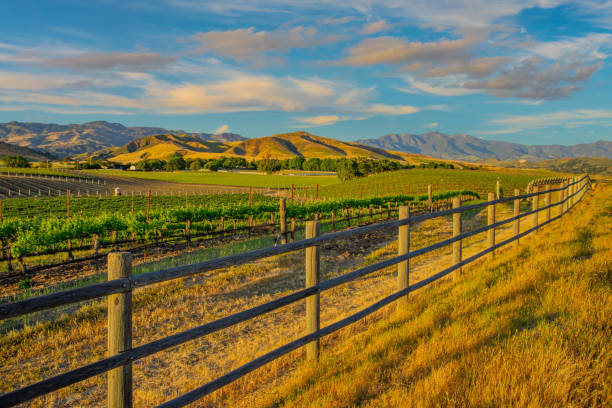 Manual installation of fences